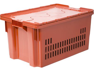 Ящик перфорированный 600×400×315 мм, объем 52 л., арт.: 602-1 SP м, оранжевый, код: 18772