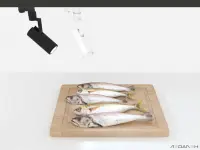 Трековый светильник STAR FOOD NAVI FISH 7500К 20W 20-60° для рыбы и морепродуктов